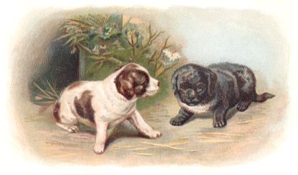 Arbuckle - Dogs