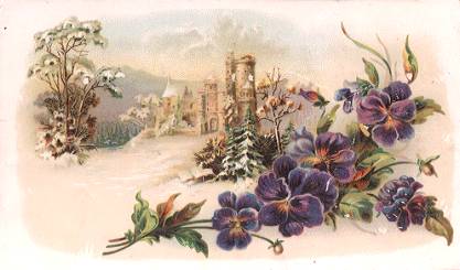 Arbuckle - purple flowers and castle
