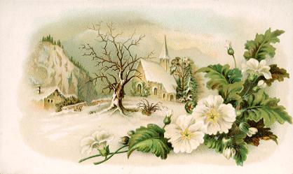 Arbuckle - white flowers, church