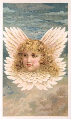 Arbuckle - Rebecca Coleman - Angel Head