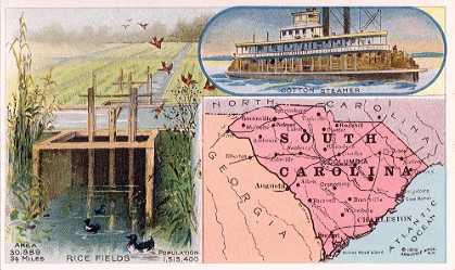 South Carolina map - Rice Fields; Cotton Steamer