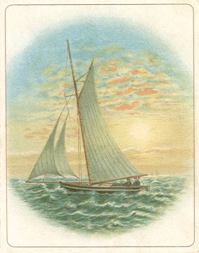 Arbuckle - sailboat