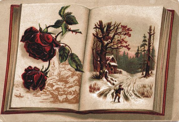 Vesta Laundry Soap card