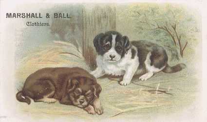 Dogs - MARSHALL & BALL