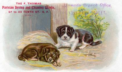 Dogs - THE F. THOMAS Parisian Dyeing and Cleaning Works