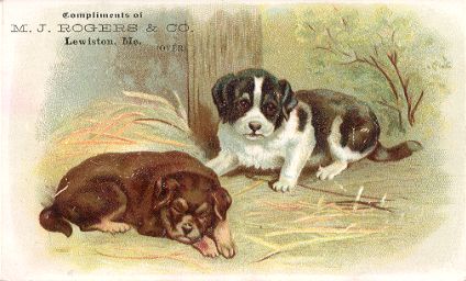Dogs - M. J. ROGERS & CO.