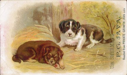 Dogs - Sherman's P. G. Java
