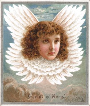 Raphael Tuck - Angel Head - Rebecca Coleman