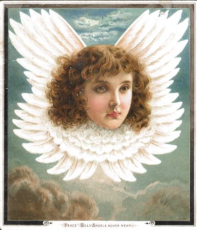 Raphael Tuck - Angel Head - Rebecca Coleman