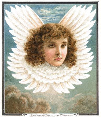 Raphael Tuck - Angel Head - Rebecca Coleman