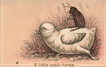 A little cock-horse - M. E. Aldrich