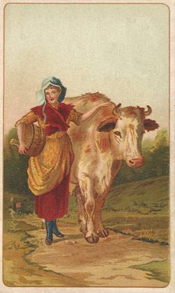Woman with cow