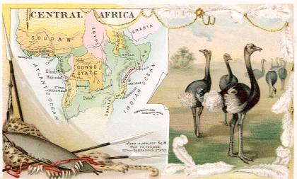 Central Africa map - Ostrich