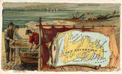 Newfoundland map - Cleaning Fish; Banks of Newfoundland; Cod